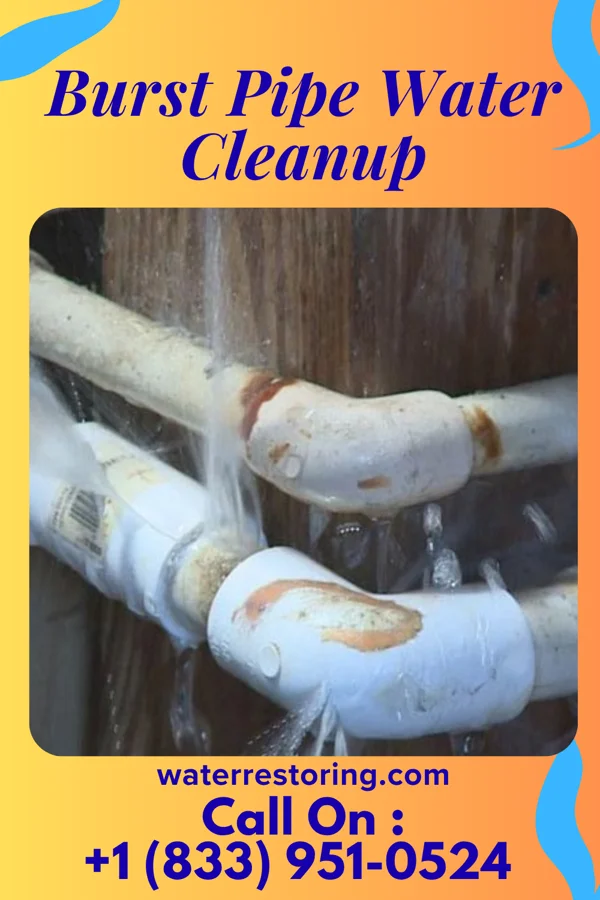 Burst Pipe Water Cleanup in Colville, WA