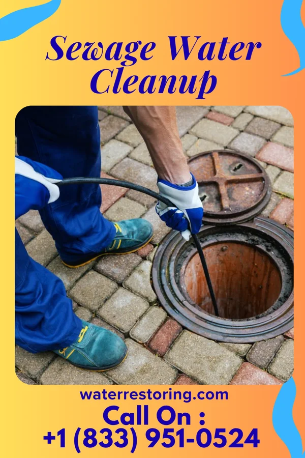 Sewage Water Cleanup in Colville, WA